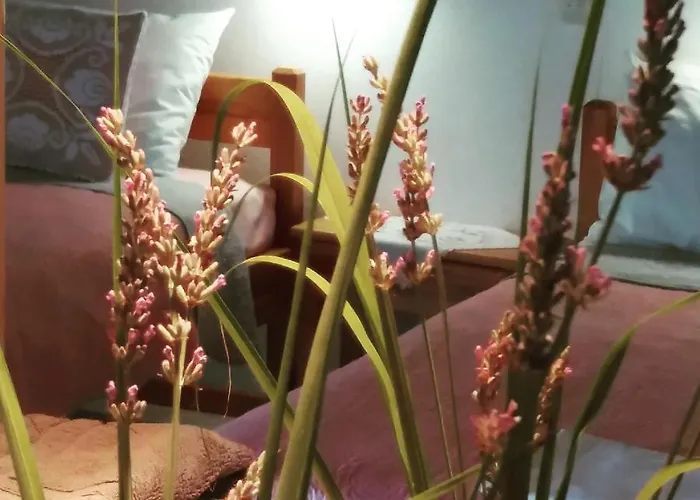 Апартаменты Niki