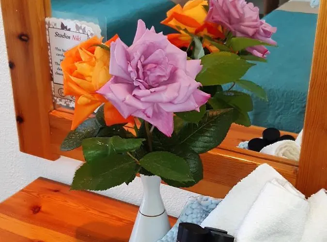 Апартаменты Niki *