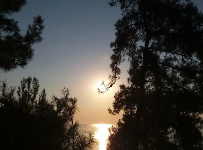 Niki * Коинира