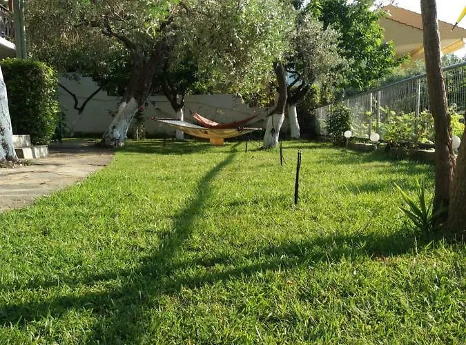 Niki * Коинира