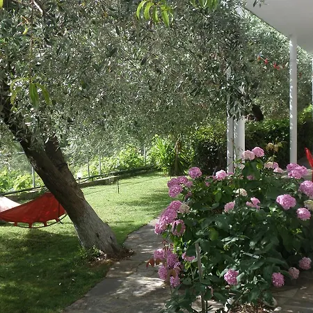 Niki 아파트 코이니라