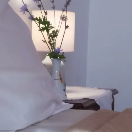 Apartamento Niki