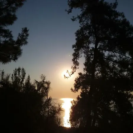 Niki * Κοίνυρα